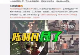 李帅帅最新爆料新闻视频,最新爆料新闻视频深度解析
