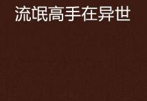 流氓高手之异界纵横,流氓高手的奇幻冒险之旅